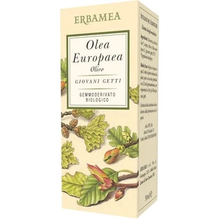 OLEA EUROPEA OLIVE 50ML
