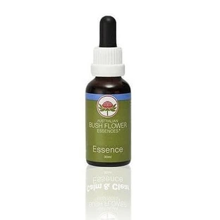 She Oak Essence 15 Ml 1 Pièce