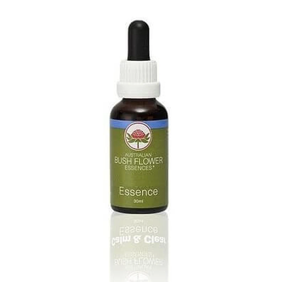 She Oak Essence 15 Ml 1 Pièce
