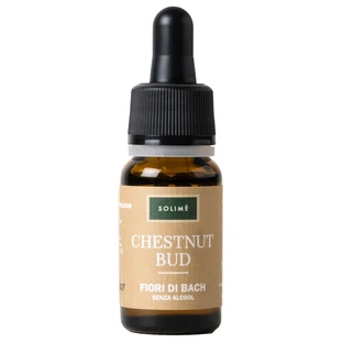 BROTE DE CASTAÑO 10ML
