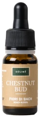 KASTANIENKNOSPE 10ML