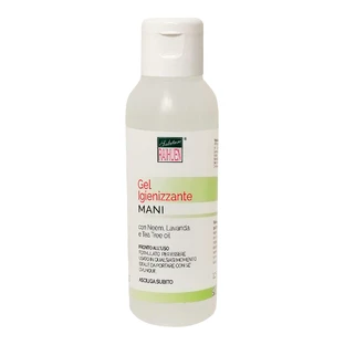 RAIHUEN Désinfectant pour les mains 100ml