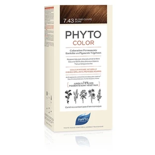 PHYTOCOLOR 7.43 RAM DOR BLOND