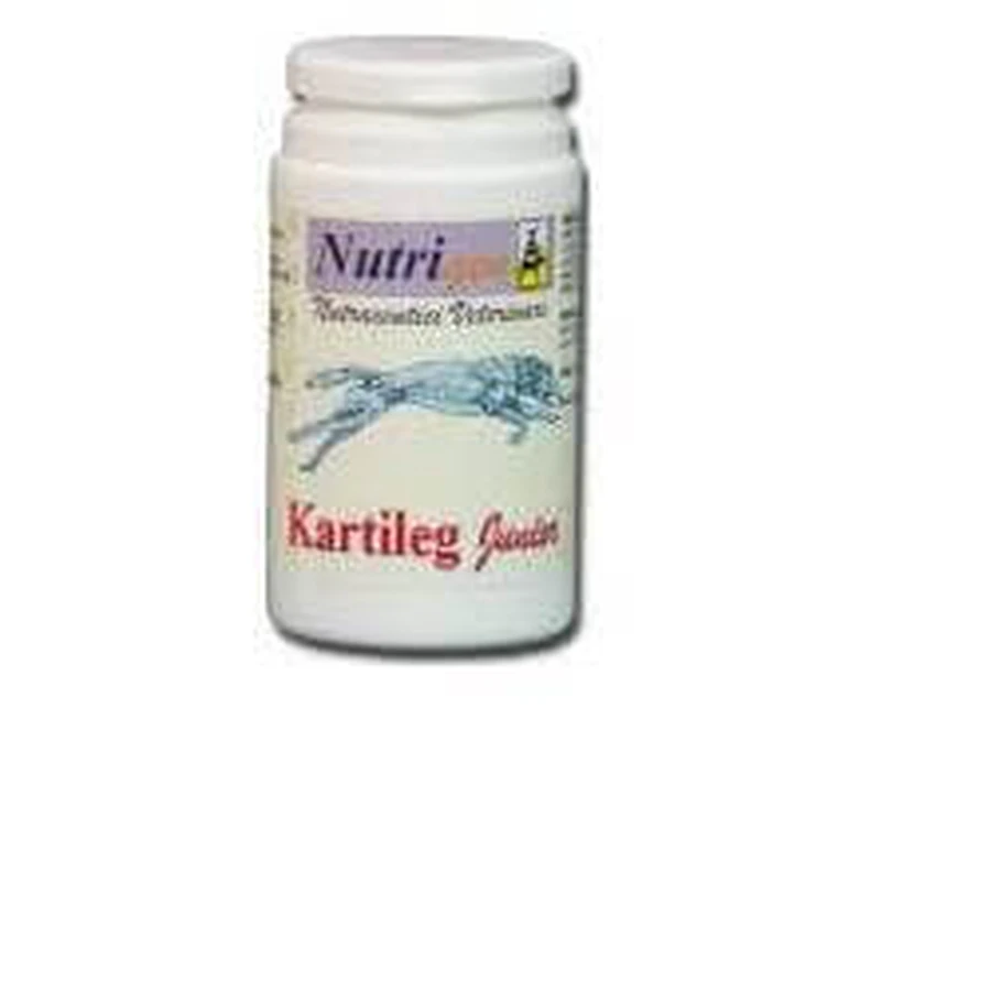 KARTILEG Junior 1g 600 Tab.