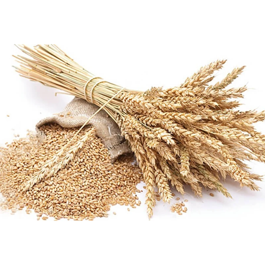 Zachte Tarwezemelen 100 Gr