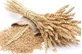 Soft Wheat Bran 100 Gr