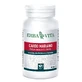 Chardon Marie 60cps 400mg