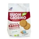 FsC Bisc.Good Morning Flour Int
