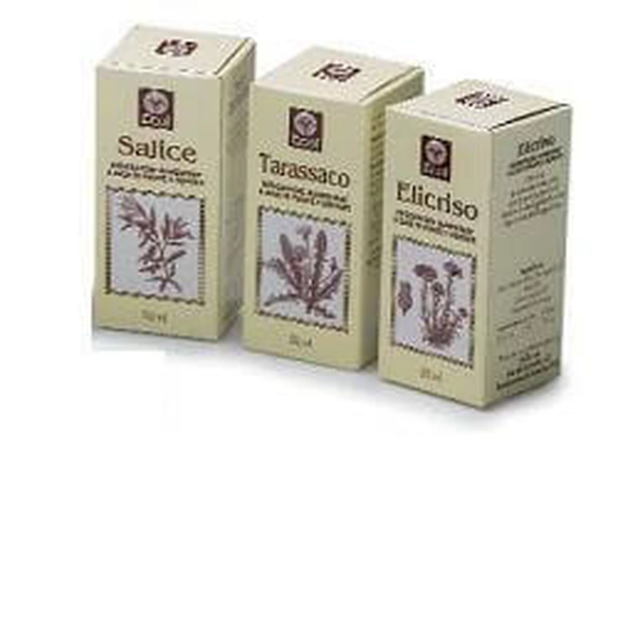 GREEN TEA 50ML GTT