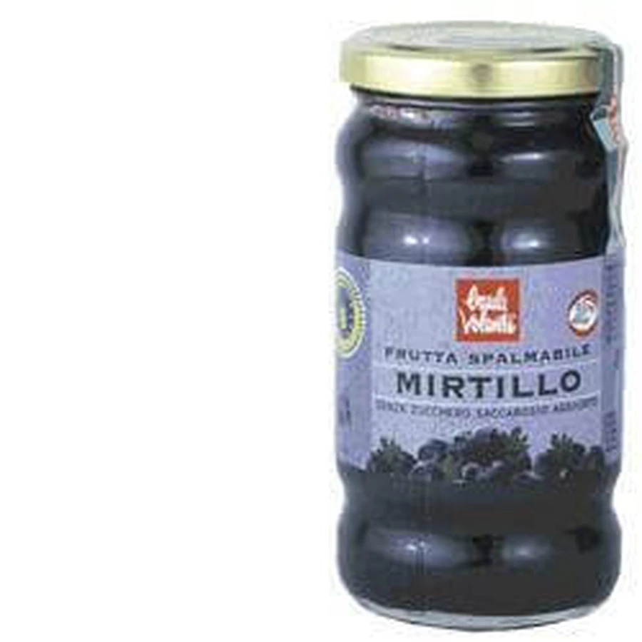 FRUIT BLUEBERRY SPREAD 280G