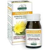 Pilosella Titrated Extrakt 60 Tabletten Giorgini