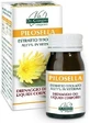 Pilosella getitreerd extract 60 tabletten Giorgini