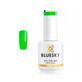 Vernis &#224; ongles semi-permanent Bluesky UV Apple Green 15ml 