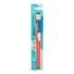 TEPE Brush.Nova Medium