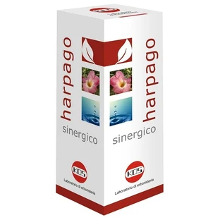 HARPAGO SYNERGISTIC GTT 100ML KO