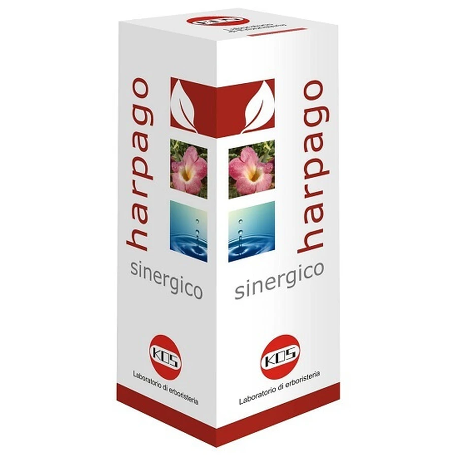 HARPAGO SYNERGISTIC GTT 100ML KO