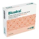 Dicodral 12 Säckchen