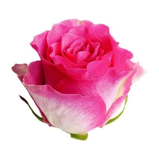 Bourgeons de rose entiers 100 Gr
