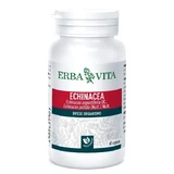 Echinacea 60cps 500mg
