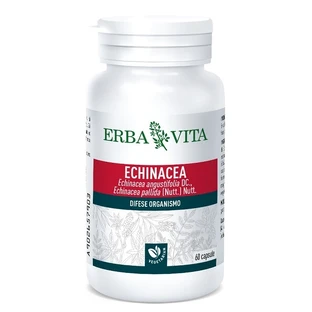 Echinacea 60cps 500mg