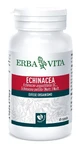 Echinacea 60cps 500mg