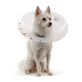 KVP ELIZABETHAN SAF-T-SHIELD COLLAR 15-21 CM