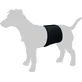 FLAMINGO DOG MUTANDINE BAND 59x20 CM BLACK