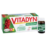Vitadyn Unterstützung 10fl 10ml