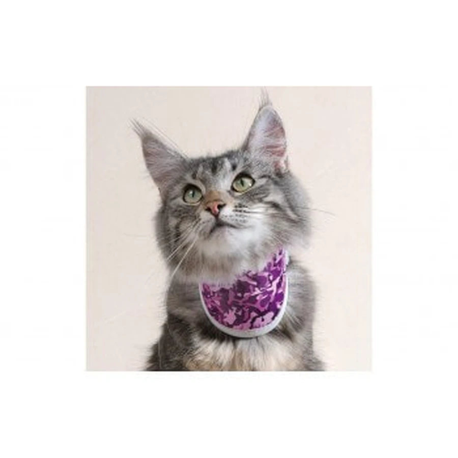 BT HALS KATZE ROSA