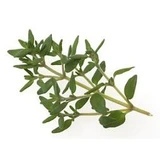 Mountain Thyme Leaves 100 Gr