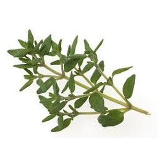 Mountain Thyme Leaves 100 Gr