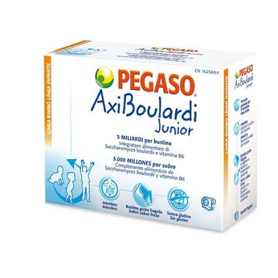 Axiboulardi Junior 14bust