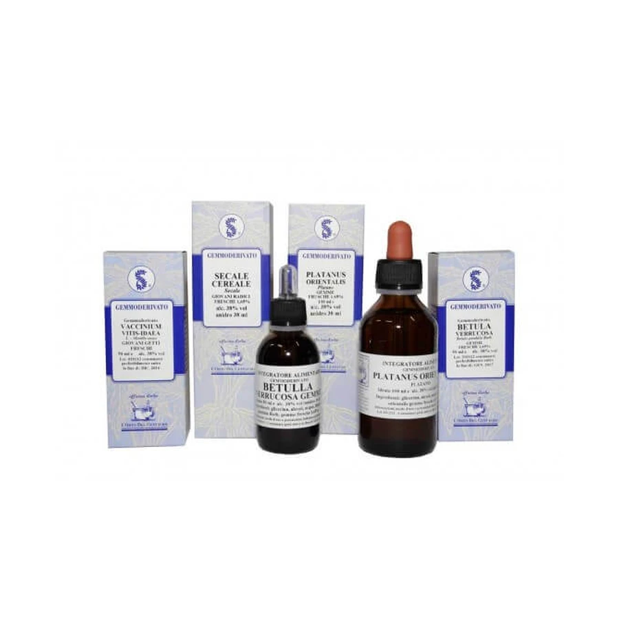 Ginkgo Biloba 60 Ml Glycerisch Maceraat