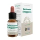 Marjolein Quintessence 10ml