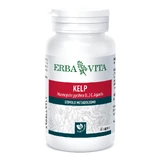 KELP 60 CPS 500MG EBV