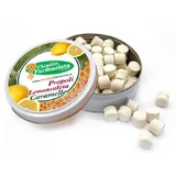 PROPOLIS-ZITRONEN-SALBEIBONBONS