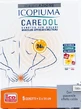 Icopiuma Caredol Dol Rectangular Plaster 5 Pieces