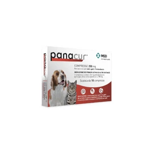 Panacur 10 tablets 250mg for dogs and cats