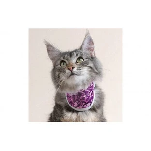 BT HALS KATZE URBAN