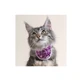 BT HALS KATZE URBAN