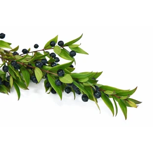 Whole myrtle berries 100 g for infusion