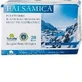 BALSAMICO KRUIDENTHEE 20G