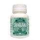 SHALLAKI BOSWELIA S 60CPR