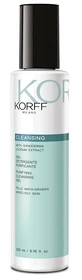 KORFF REINIGUNGSGEL DET PURIF