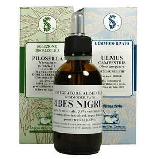 ACHILLEA Gtt 100ml SARANDREA