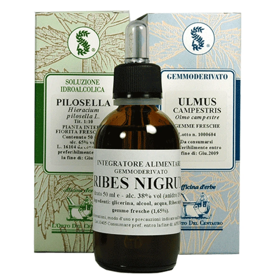 ACHILLEA Gtt 100ml SARANDREA