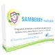 Samberry Masticable 30tav
