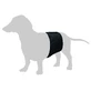 FLAMINGO DOG MUTANDINE BAND MALE 49x14 CM