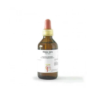CURRANT BUDS 100ML MG