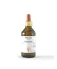 CURRANT BUDS 100ML MG